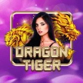 8jili Live Casino secondary placement 2